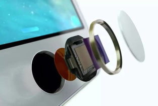 等待了4年的全新MacBook终于要来了 5大变革抢鲜看以及触控产品的超预期创新